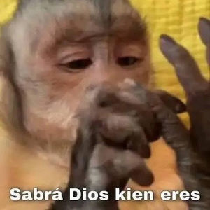 Meet your Posher, Esther